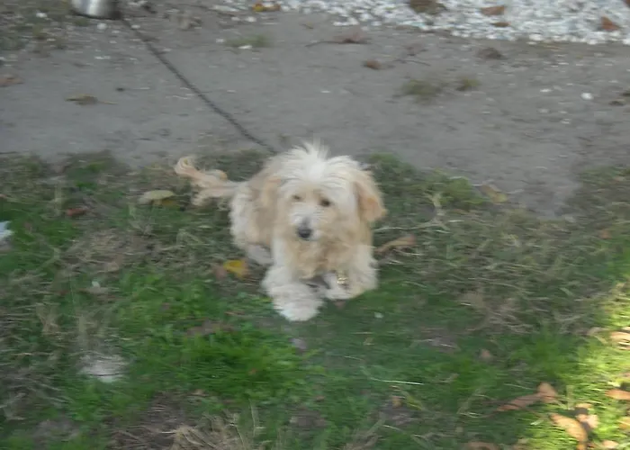 Гостевой дом Le Campane Феррара